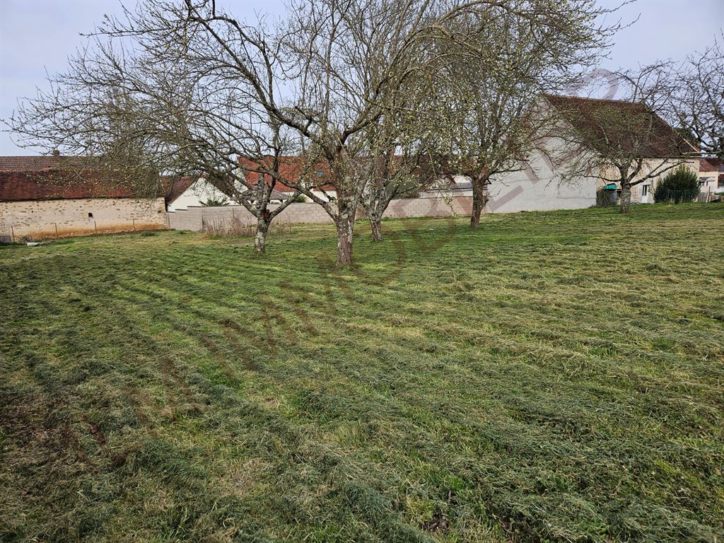 terrain à bâtir en vente sur HERY (89550)