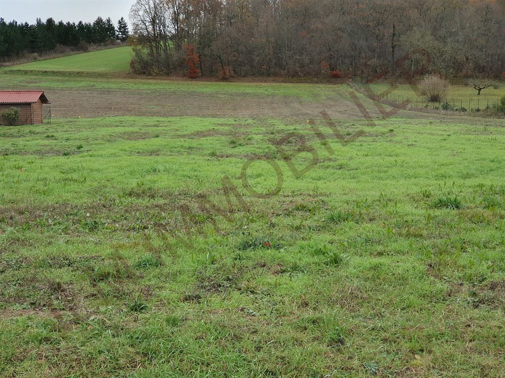 Vente Terrain à bâtir Vincelles 89290 AUXERRE Sud