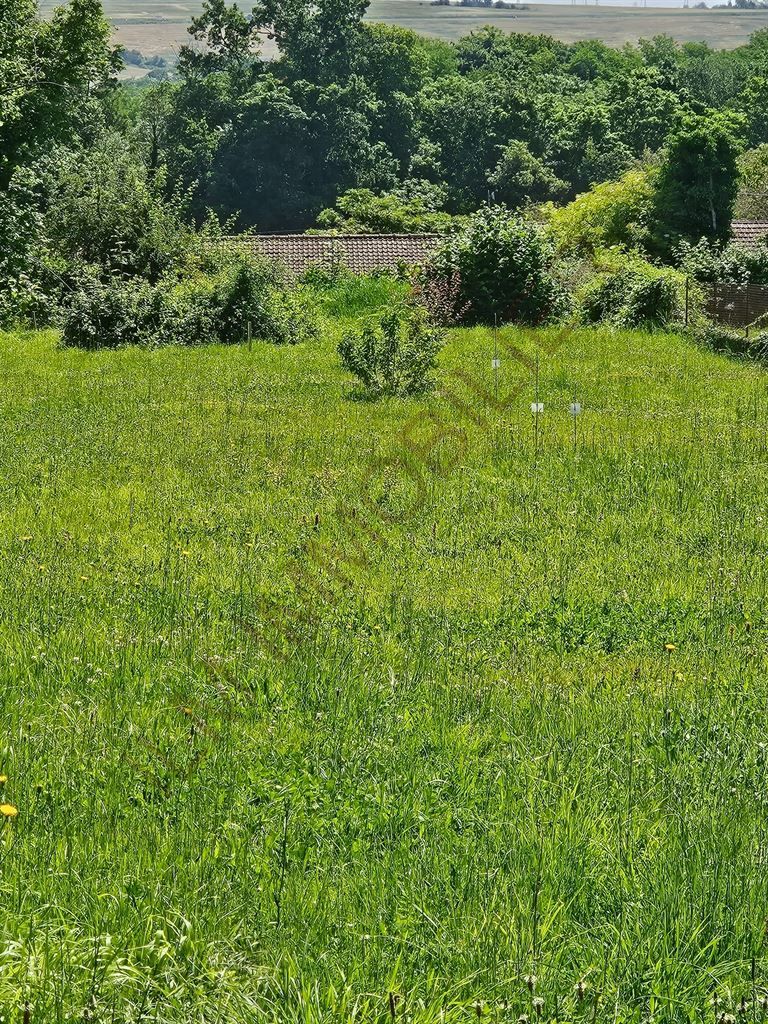 Vente Terrain à bâtir Auxerre 89000