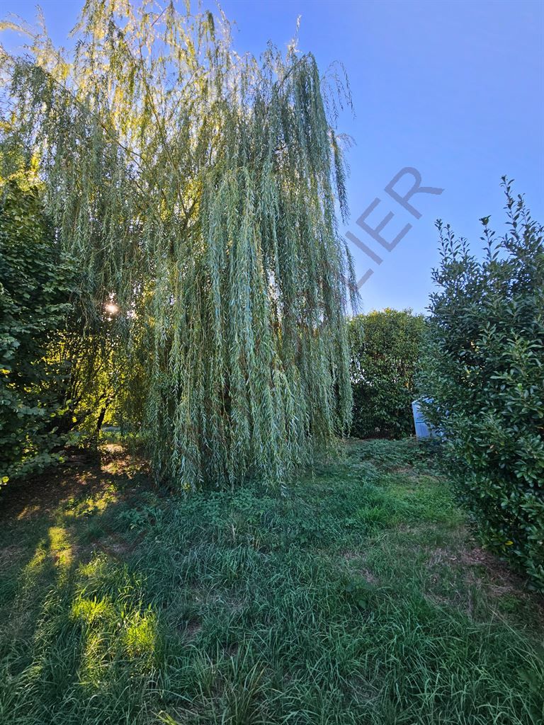 terrain à bâtir en vente sur VINCELLES (89290)