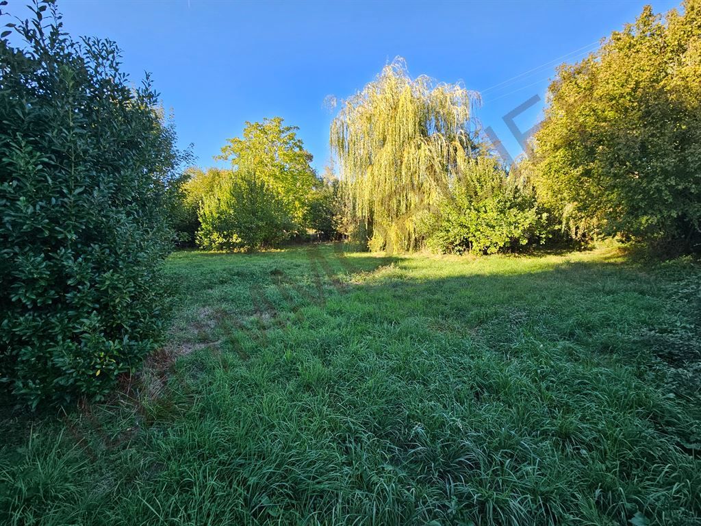 terrain à bâtir en vente sur VINCELLES (89290)
