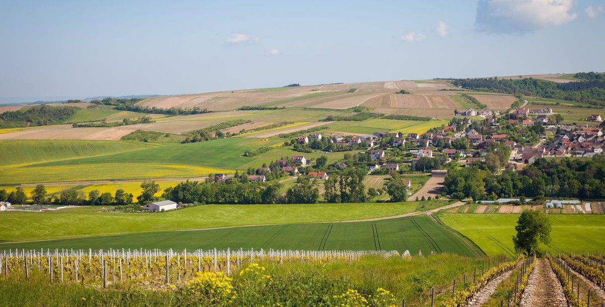 agence immobilière Auxerre